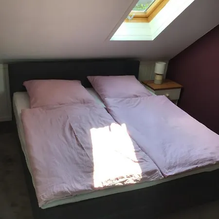 Apartment Am Park -calluna *
